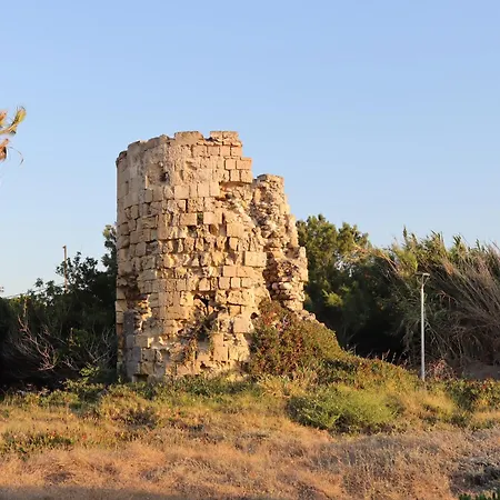 Aerini Avli * Φάνες